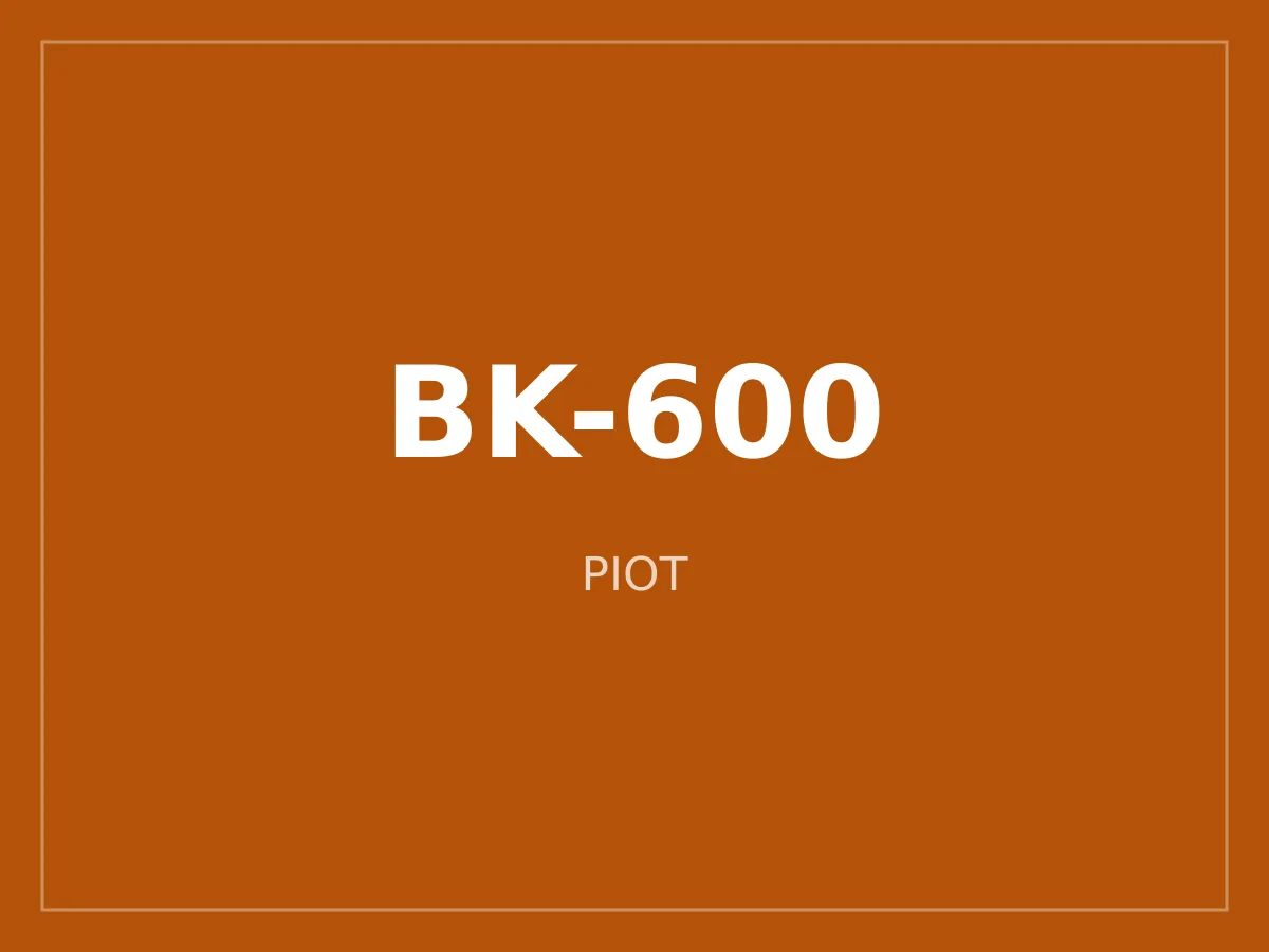 Bantlı Konveyör BK-600